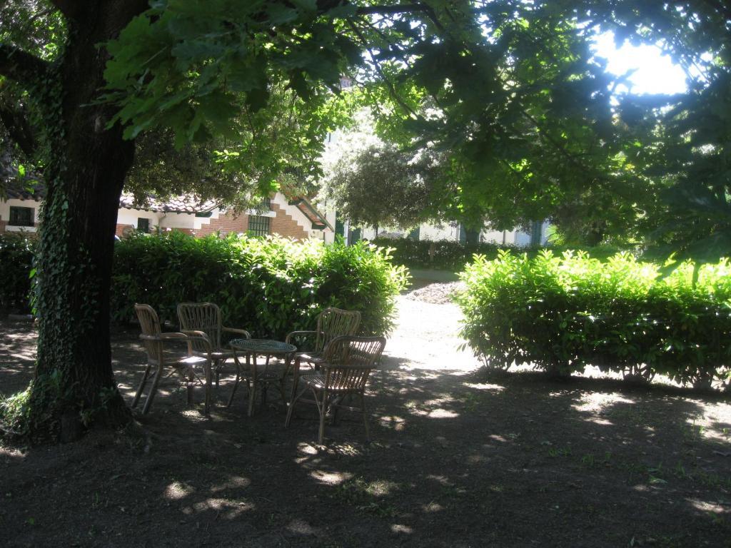 Villa Patrizia B&B Lucca Eksteriør bilde