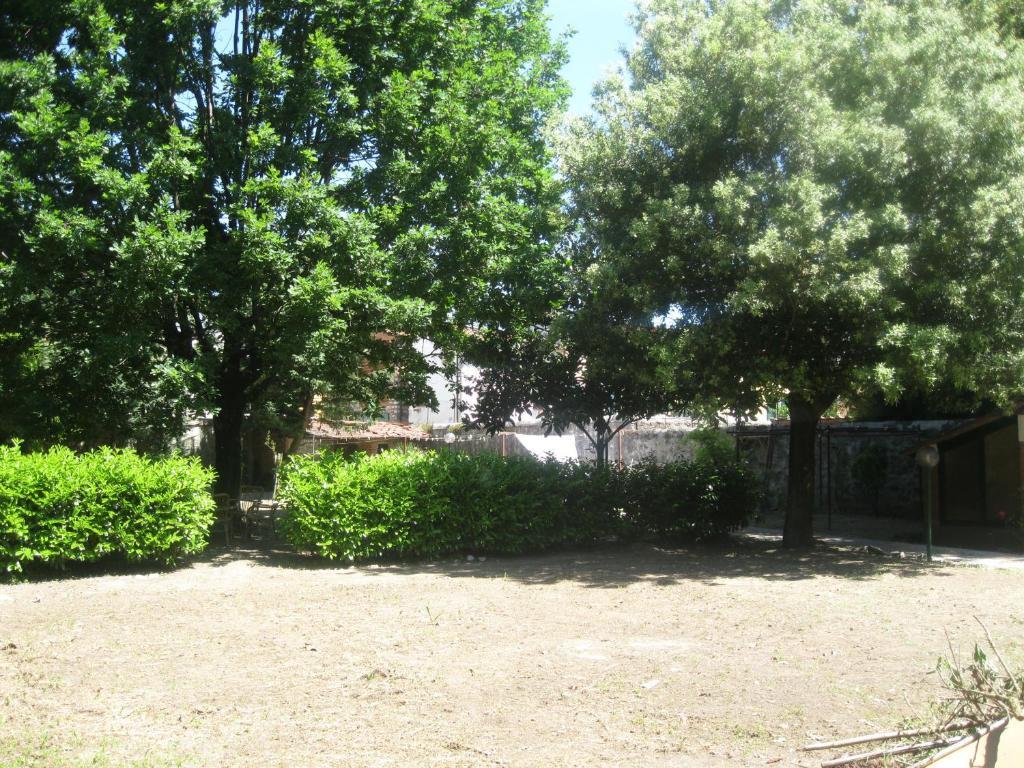 Villa Patrizia B&B Lucca Eksteriør bilde